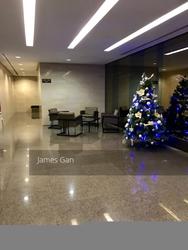 Soleil @ Sinaran (D11), Condominium #143922812